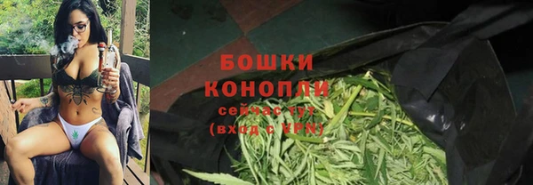 индика Беломорск
