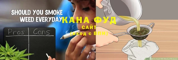 индика Беломорск