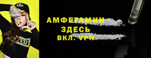индика Беломорск