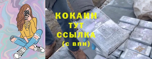 индика Беломорск