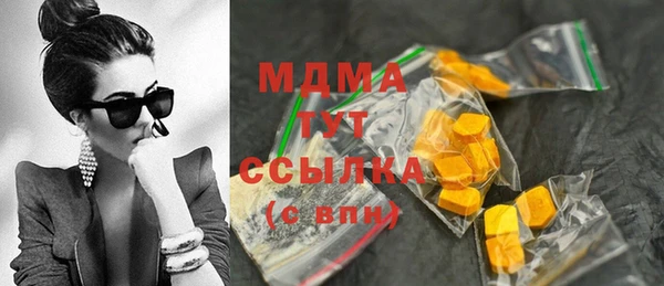 индика Беломорск