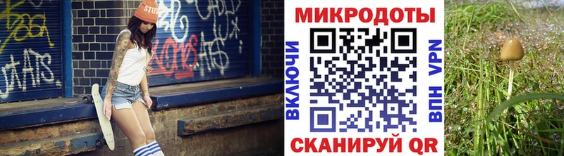Псилоцибиновые грибы Cubensis  Сегежа 